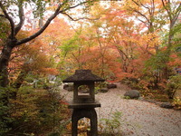 宝筐院 (13)