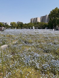 長居植物園-1