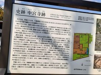 中宮寺跡2022_10_16 (1)