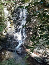 20190811_140940