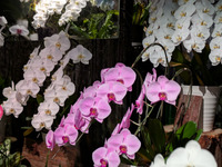 �ƥå�����4