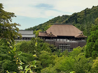 清水寺舞台