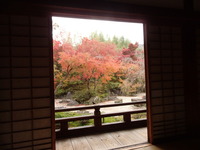 宝筐院 (5)