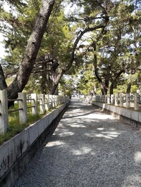法隆寺2022_10_16 (1)