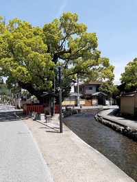 2022_05_07大田神社 (18)