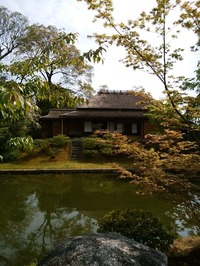 桂離宮 (20)
