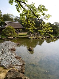 桂離宮 (5)