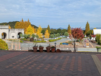 ���ͥե롼�ĥե��ѡ���