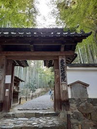 竹の寺地蔵院2022_10_31 (2)