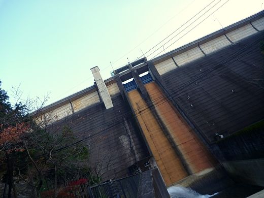 P1050118