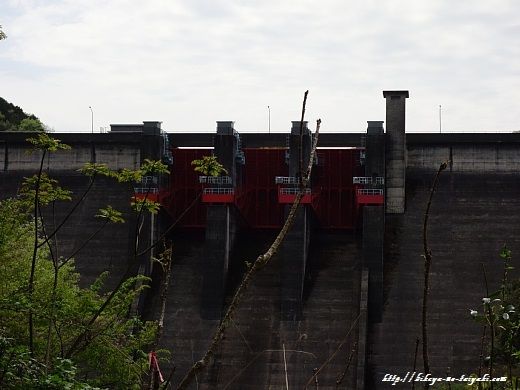 DSC03444