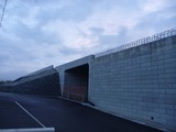 P1020910
