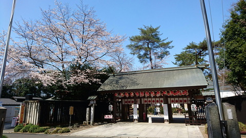 0-5桜木神社 (1)