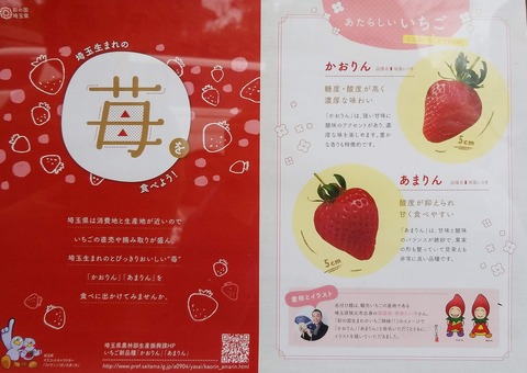 秩父 いちご