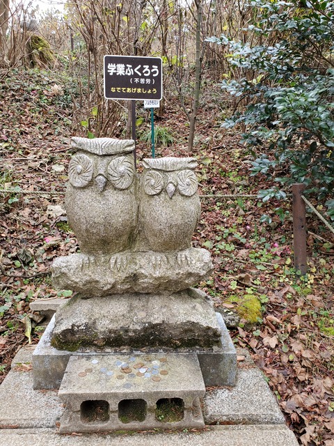 20191222_112935