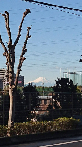 富士山