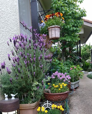 ナンバリング (10)