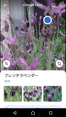 Screenshot_20200515-164535