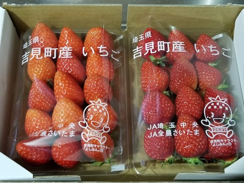 とちおとめ やよいひめ