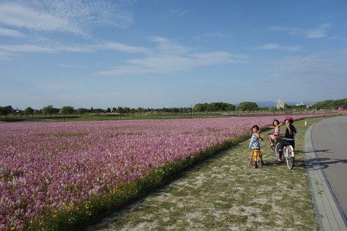 DSC01649