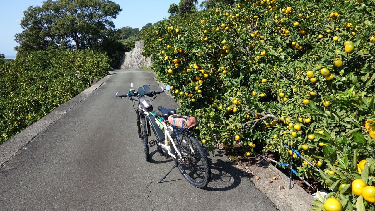 熊本は河内みかんで有名 14km E Bike トレイルライド 熊本は河内みかんで有名 14km E Bike トレイルライド