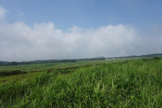 DSC03246