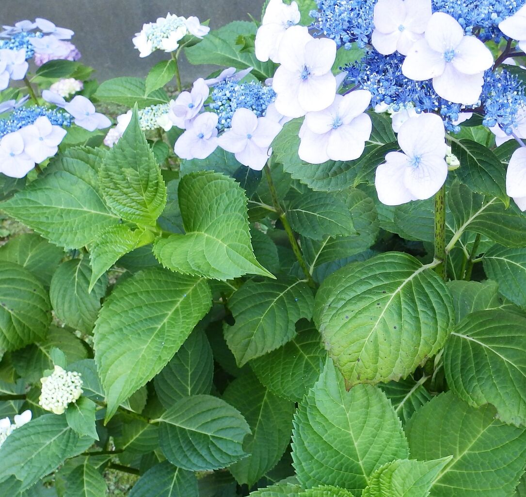 目覚めた時の宝物 慢慢走 ゆっくり歩く 目覚めた時の宝物 慢慢走 ゆっくり歩く
