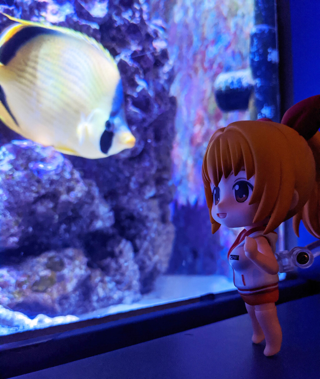 130回目 A ねんどろいど マリンちゃん 海物語in沖縄 にんぎょうであそぼ 130回目 A ねんどろいど マリンちゃん 海物語in沖縄 にんぎょうであそぼ