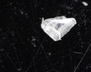 A007 - 20230322_135501
