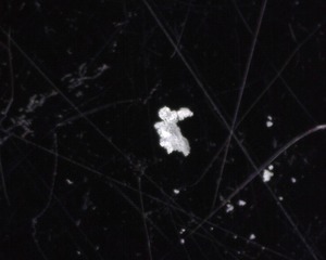 A005 - 20230322_135234