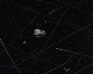 A004 - 20230322_135151