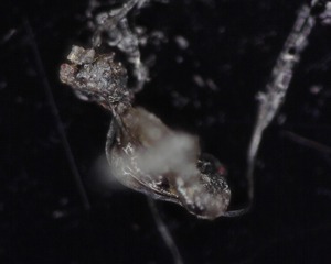 A006 - 20230322_135324