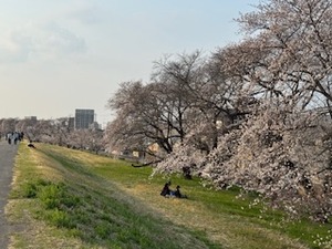 IMG_8589