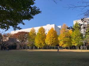 IMG_4529