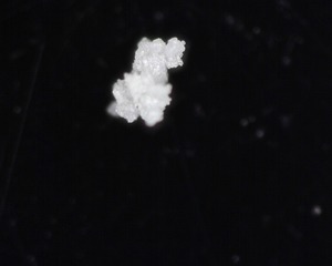 A002 - 20230322_134922