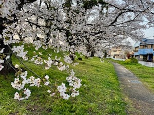 IMG_8592
