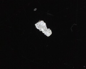 A008 - 20230322_135634