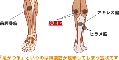 足がつりました 詐欺士の戯言 足がつりました 詐欺士の戯言