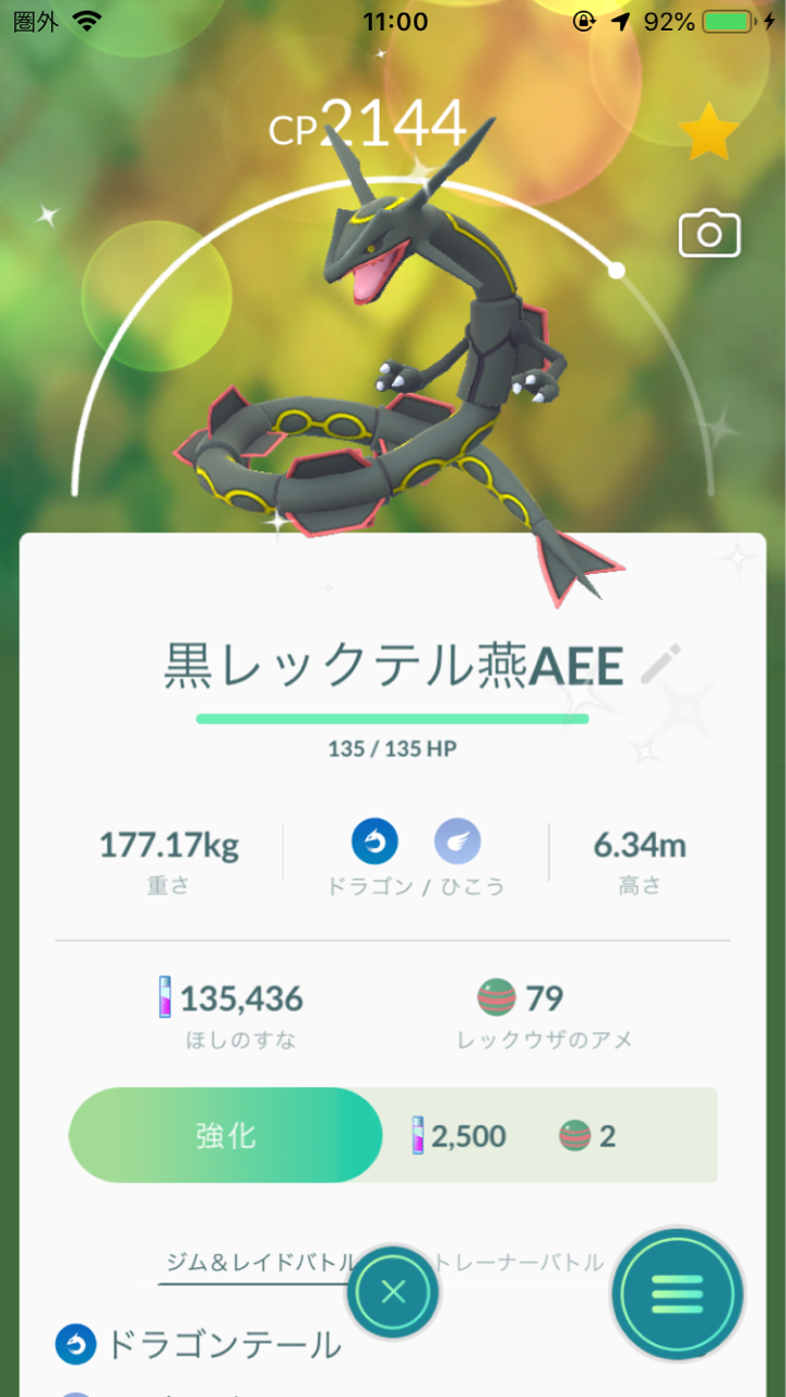 お盆は黒レックウザ ポケモンgo 詐欺士の戯言