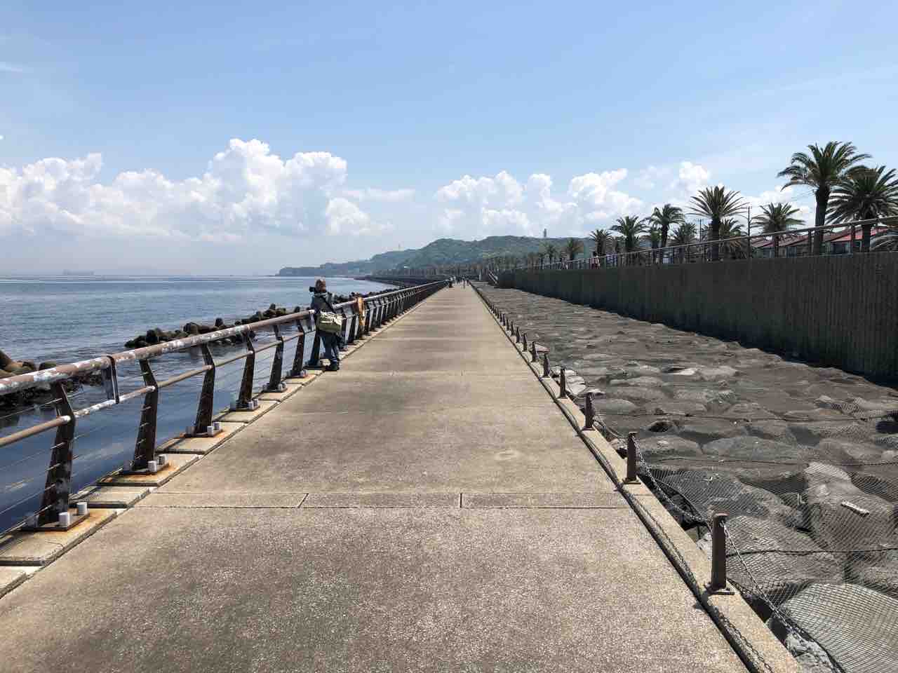 相変わらず色違いパウワウ探し ポケモンgo 詐欺士の戯言 相変わらず色違いパウワウ探し ポケモンgo 詐欺士の戯言