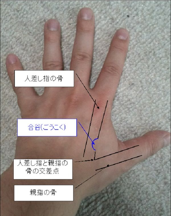 金スマ 脱ドロドロ血液 合谷 ごうこく のツボ刺激 高血圧の薬を飲まないで正常値を目指す