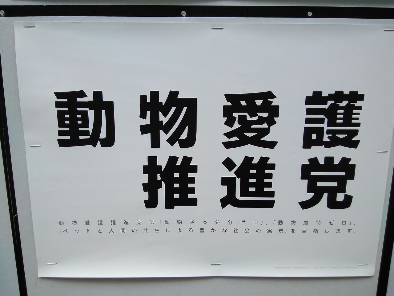 船橋市議会議員補欠選挙 ゆるゆる政治ブログｚ