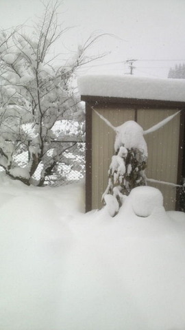 初積雪３