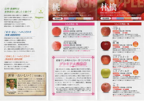 チラシ中面