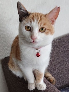 _20191207_131424 (2)