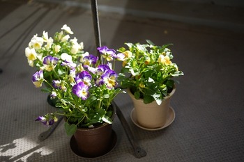 P1220503