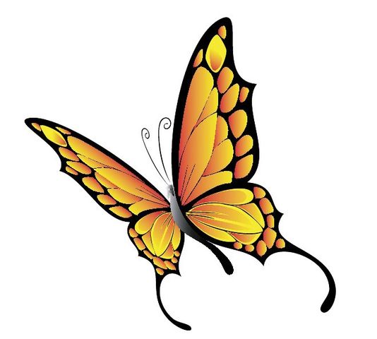 蜘蛛の巣の夢 Fashion Source