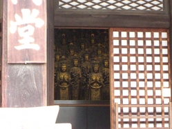 CIMG0025
