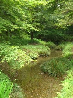 CIMG0060