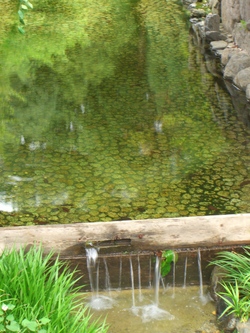 CIMG0053